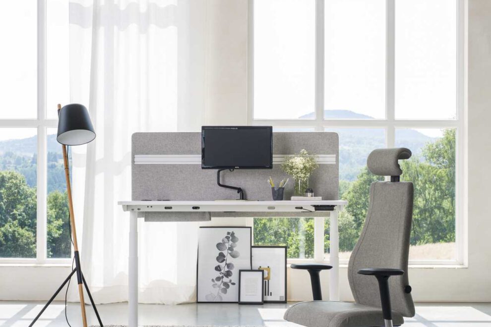 Viden PRO Play & Work