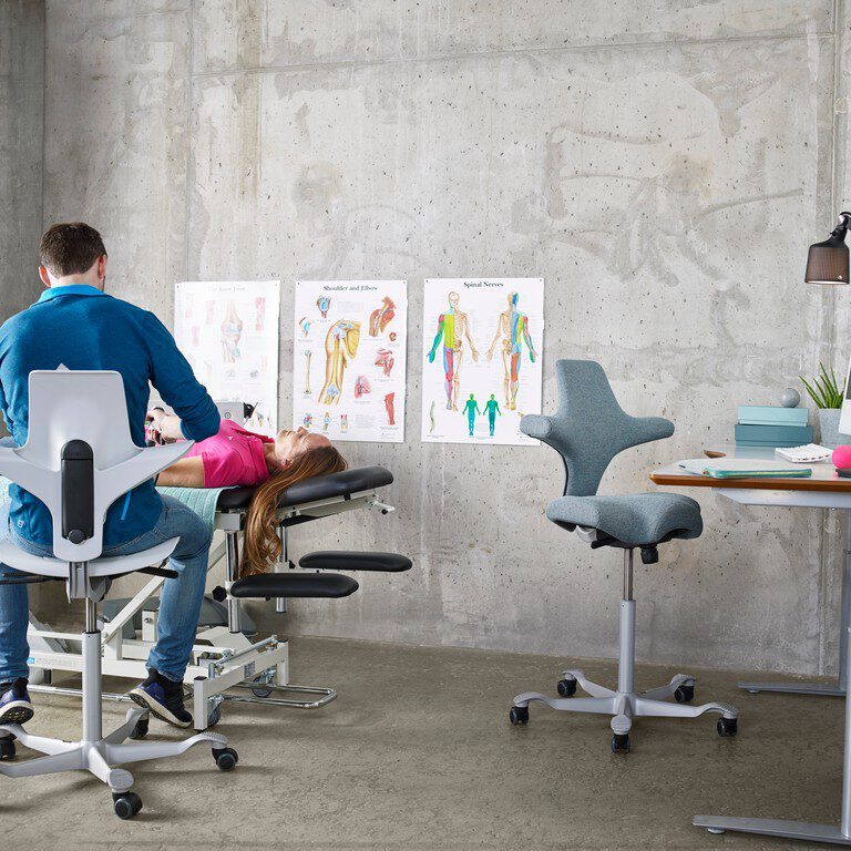 HÅG Capisco 8106, HÅG Capisco Puls 8010